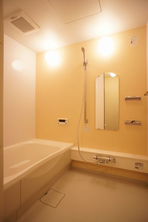 プラティニ Ⅱ 203号-5