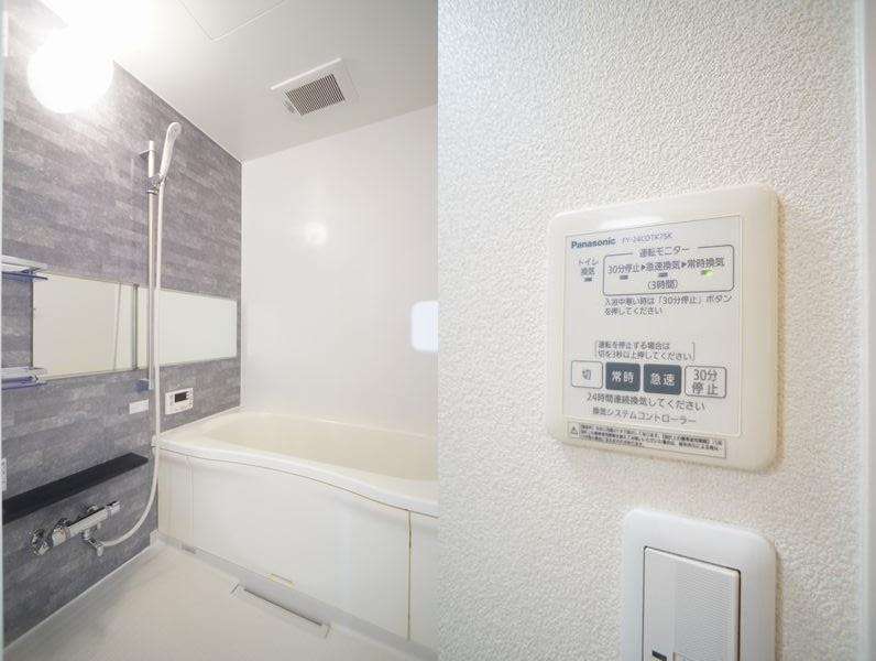 ｇｅｍ　ｖｉｏｌａ　Ａ 101号-9