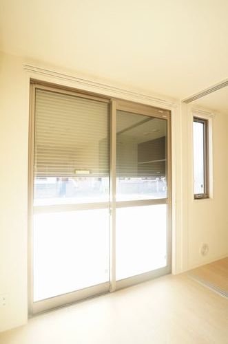 gem viola B 102号-5