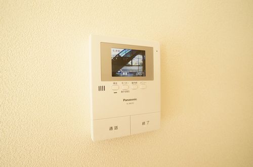 gem viola B 102号-7