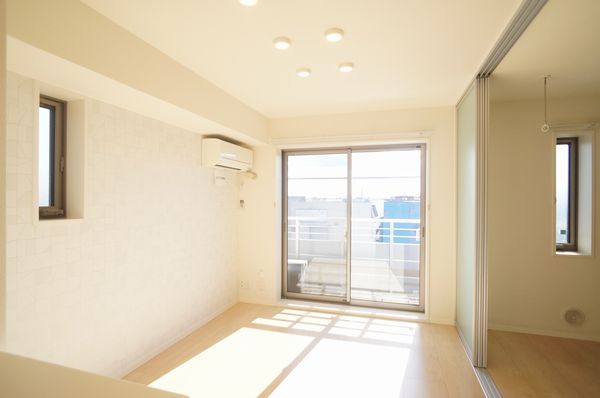 gem viola D 301号-3