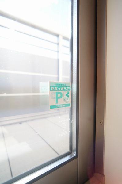 gem viola D 301号-7