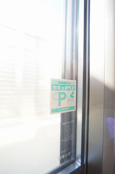 gem viola E 101号-7