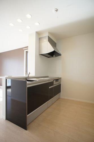 Ｓａｎｓｆｉｎｅ　Ｖｉｔａ 207号-3