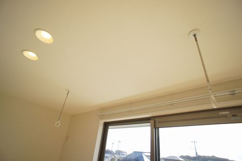 Ｓａｎｓｆｉｎｅ　Ｖｉｔａ 207号-9