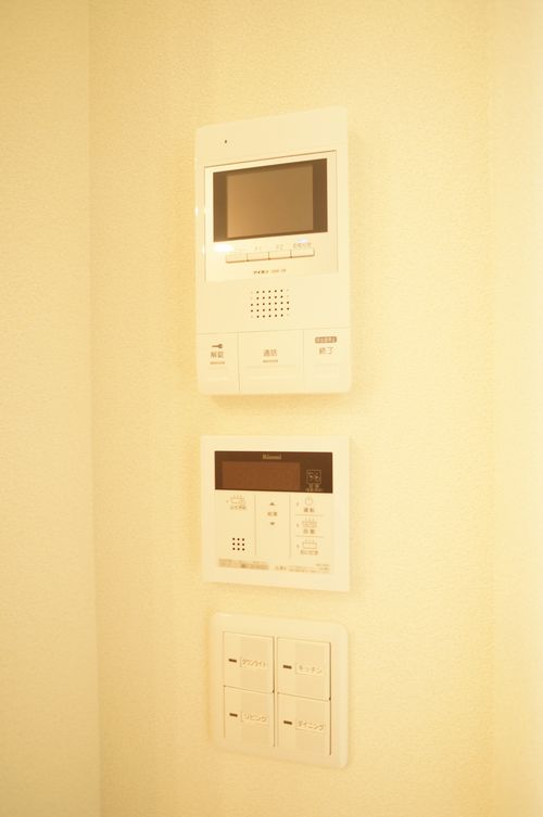 アルテージ錦 412号-6