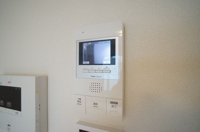 アルテージ錦 420号-5