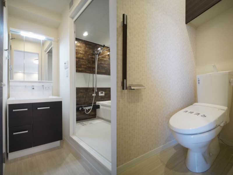 アルテージ錦 420号-9