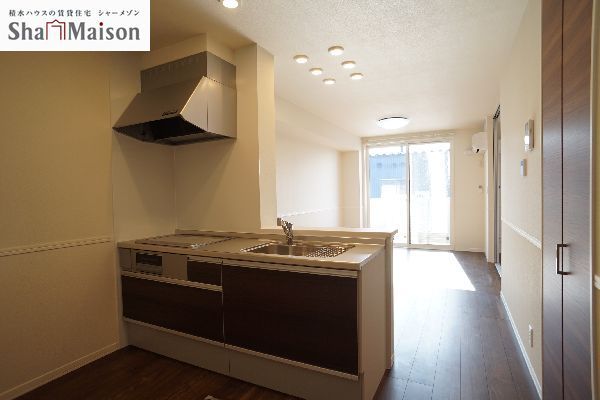 リセブリス 102号-3