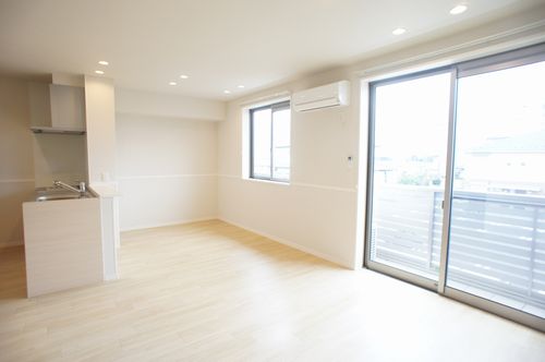 ブルーポピー 202号-3