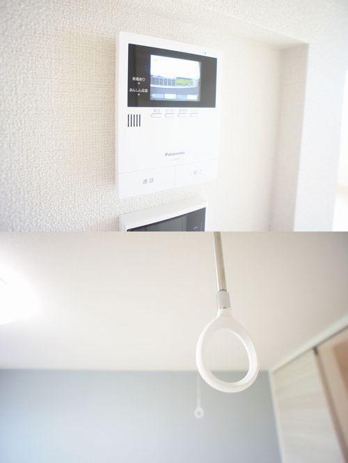 ブルーポピー 203号-8