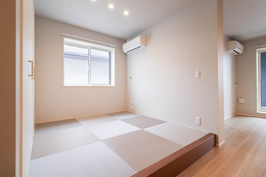 ルアナ錦 205号-4