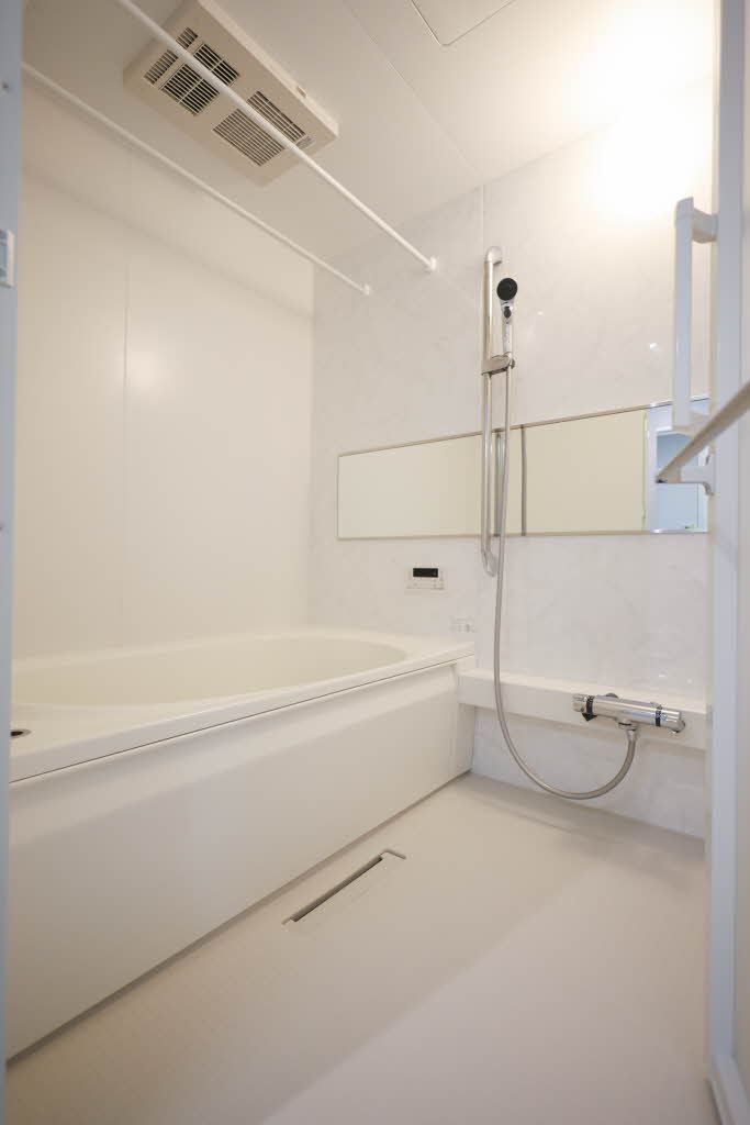 ルアナ錦 208号-8