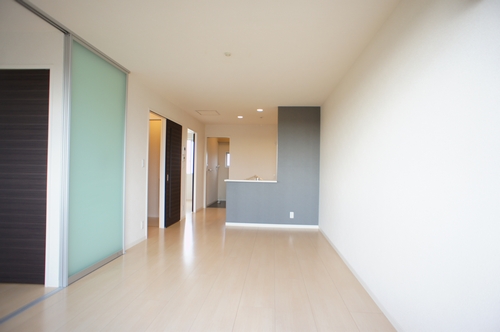 フォセットミディ 206号-3