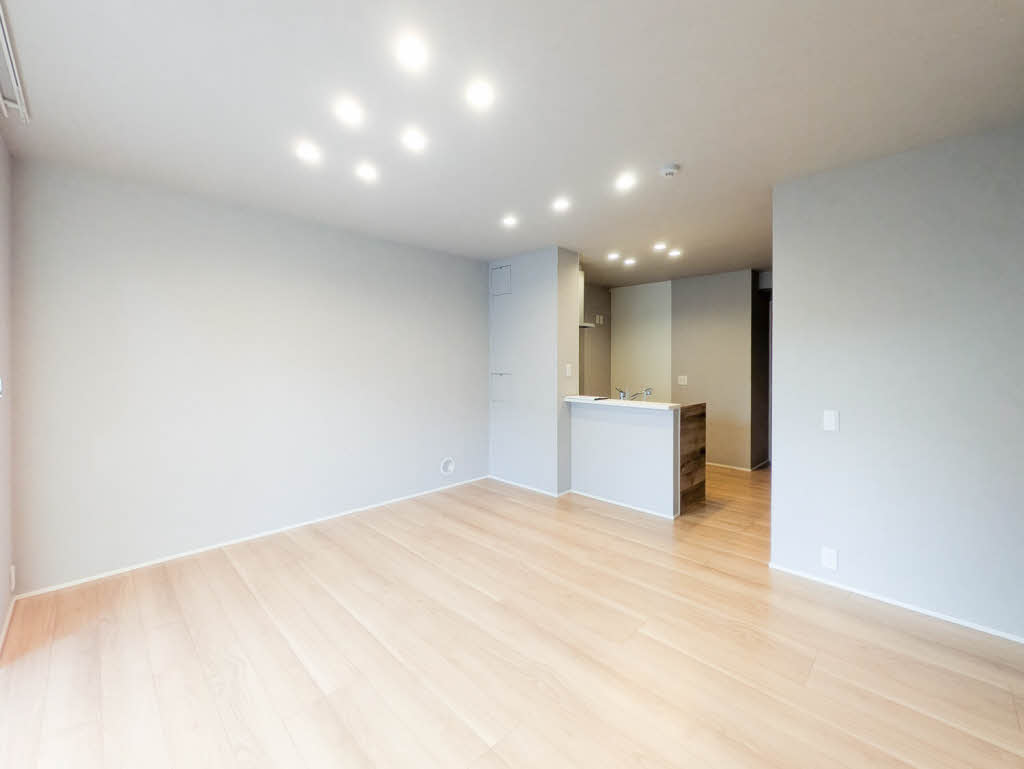 ラフィナート住吉 102号-3