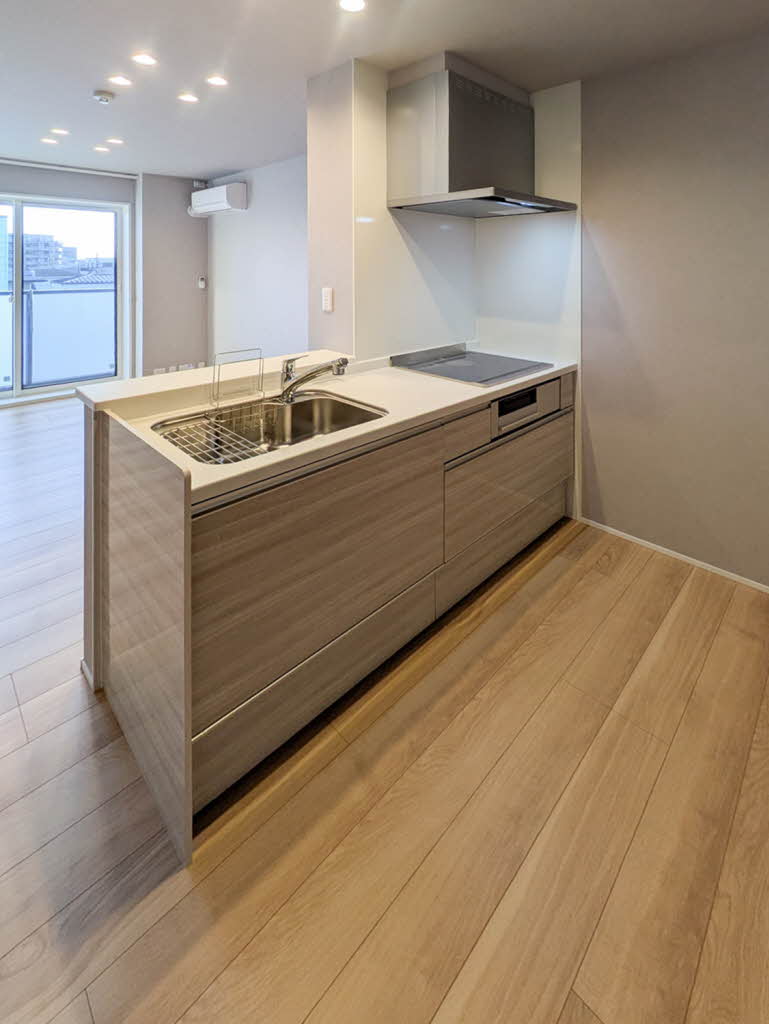 ラフィナート住吉 303号-4