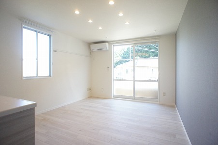 ロコ・カネッサ　Ｃ 101号-3