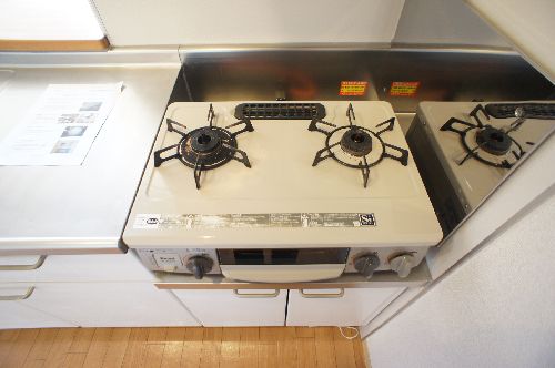 ディアスかねこ 201号-4