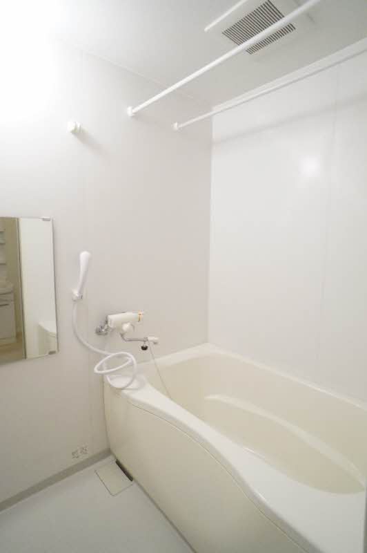 ＫＡＲＡＳＵ　Ⅰ 202号-8