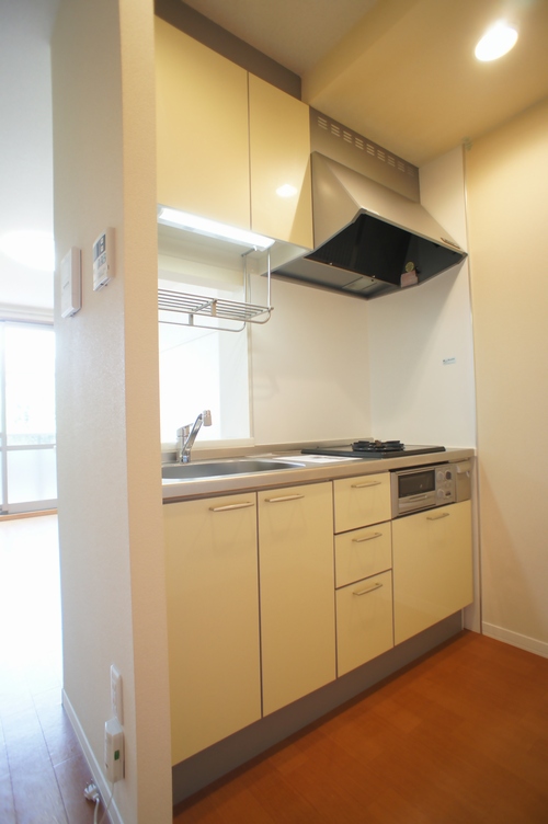 アルトピーノ 101号-4