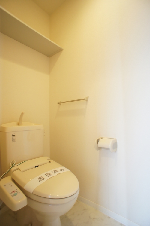 サフェリオスＢ 202号-10