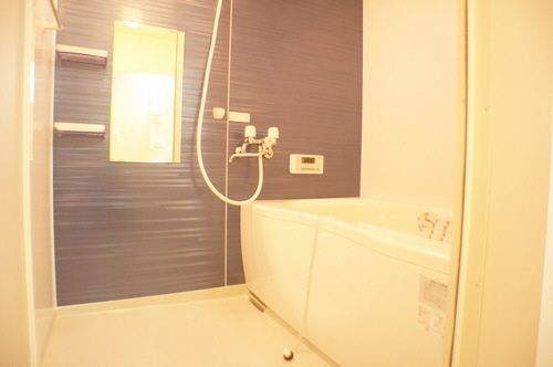 シャーメゾン百寿 201号-11