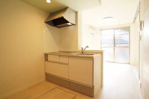 シャーメゾン城山公園 102号-5