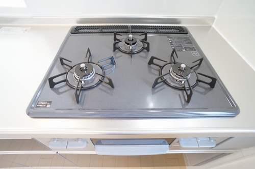 ピボワーヌ 102号-4