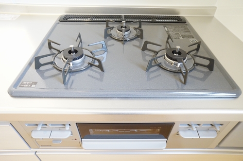 さんのこえだハイツ 203号-4