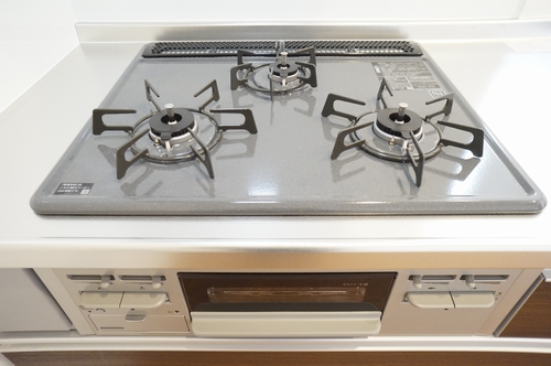 エーデルワイスＣ 101号-4