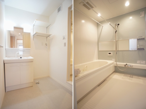 プレジール総社 301号-10