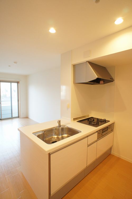 メゾンＴＺ　Ⅱ 202号-4