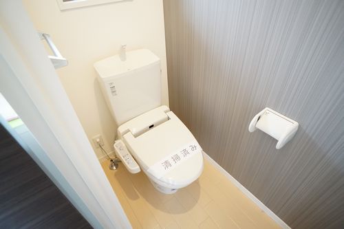 ラ・イルシオン 202号-10