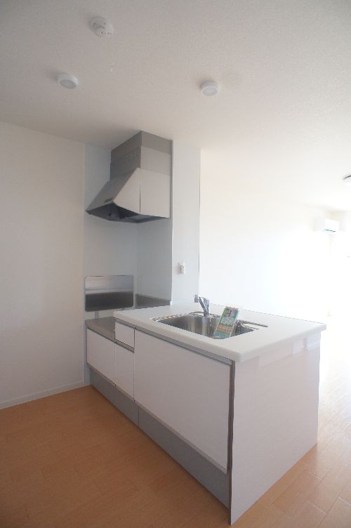 ピエールリヴィエール D 205号-4