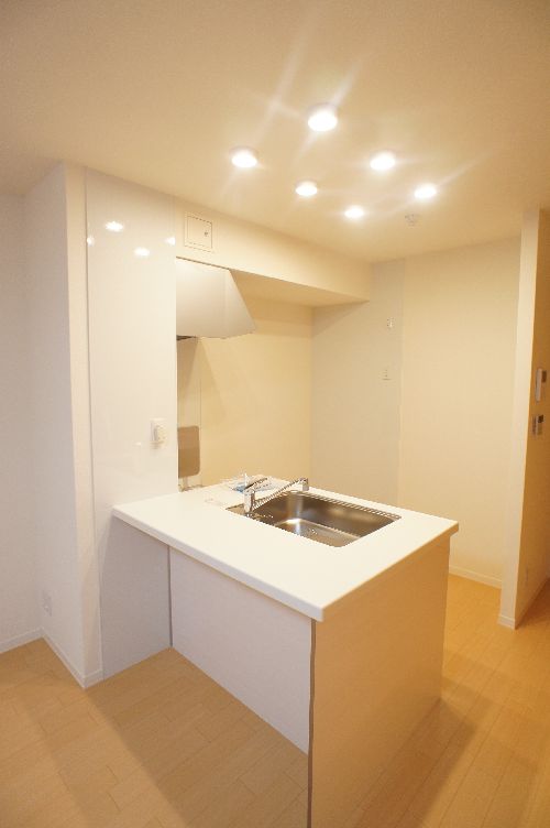 メルシーウィステリア 101号-9