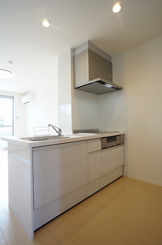 レティシア峰後　Ⅱ 205号-4