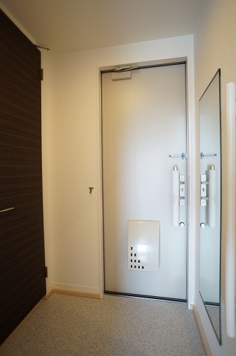 レティシア峰後　Ⅱ 207号-11