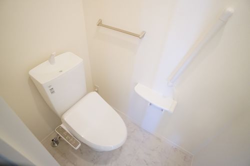 ロイヤルヒルズ　Ⅰ 203号-10