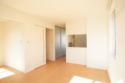 向日葵 C 201号-2