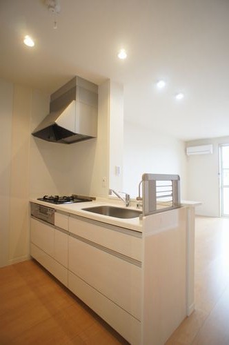 シャ-フ・ベルク Ⅱ 203号-3