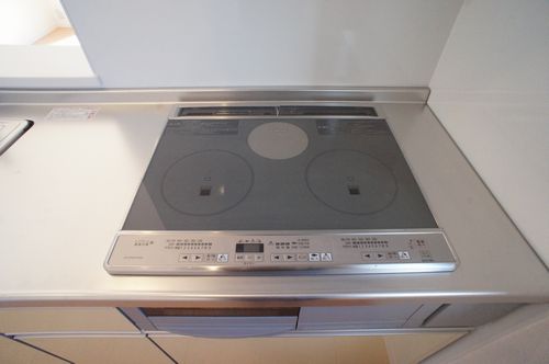 ポラリス 203号-10