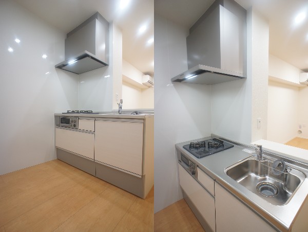 サウザンスプリングⅡ 203号-6