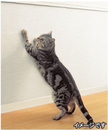 サンファンⅡ 101号-11