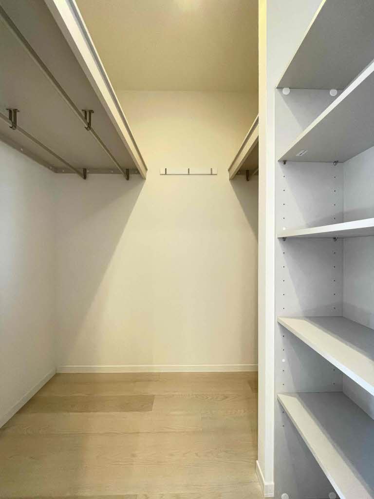 サンラフォーレC 203号-5