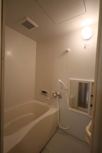 ルピナスⅢ 102号-11