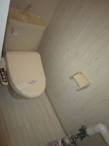 ディアスエバーグリーン 101号-11