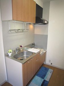 シャーメゾンMⅢ 101号-3