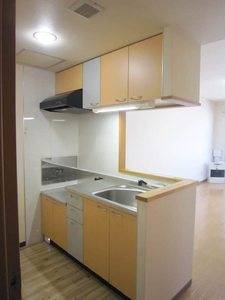 アルモニー麻生 402号-3