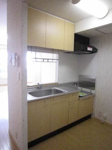 セトル・ドルフィン 201号-3