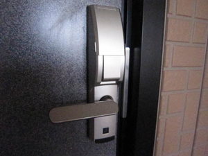 セトル・ドルフィン 201号-12